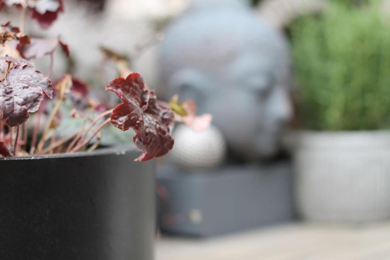 Exklusive Designferienwohnung The Backyard Tby 02 トリーア エクステリア 写真
